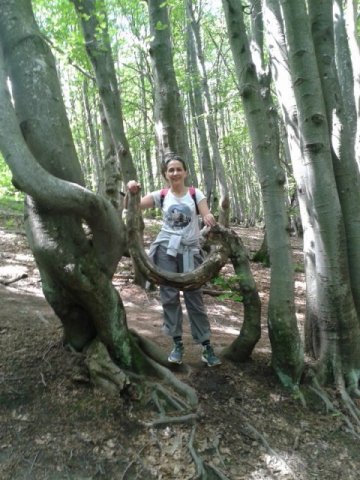 Ach, Bieszczady – jakie cudne!